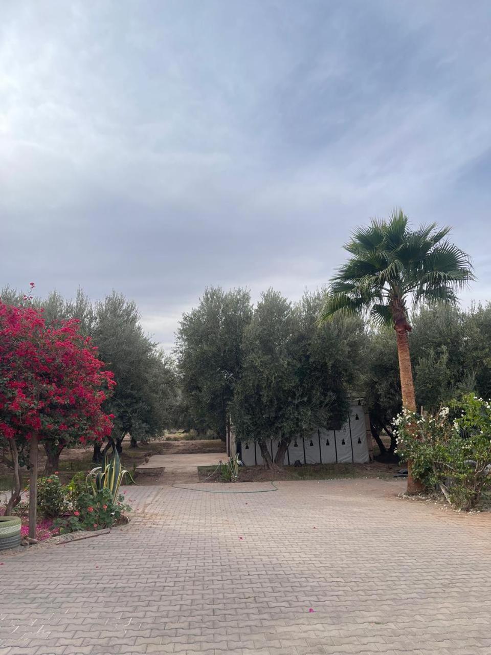Riad Oussari Marraquexe Exterior foto