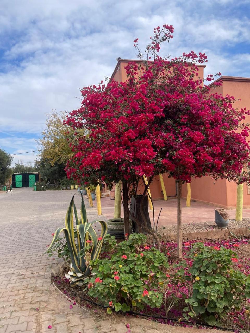 Riad Oussari Marraquexe Exterior foto