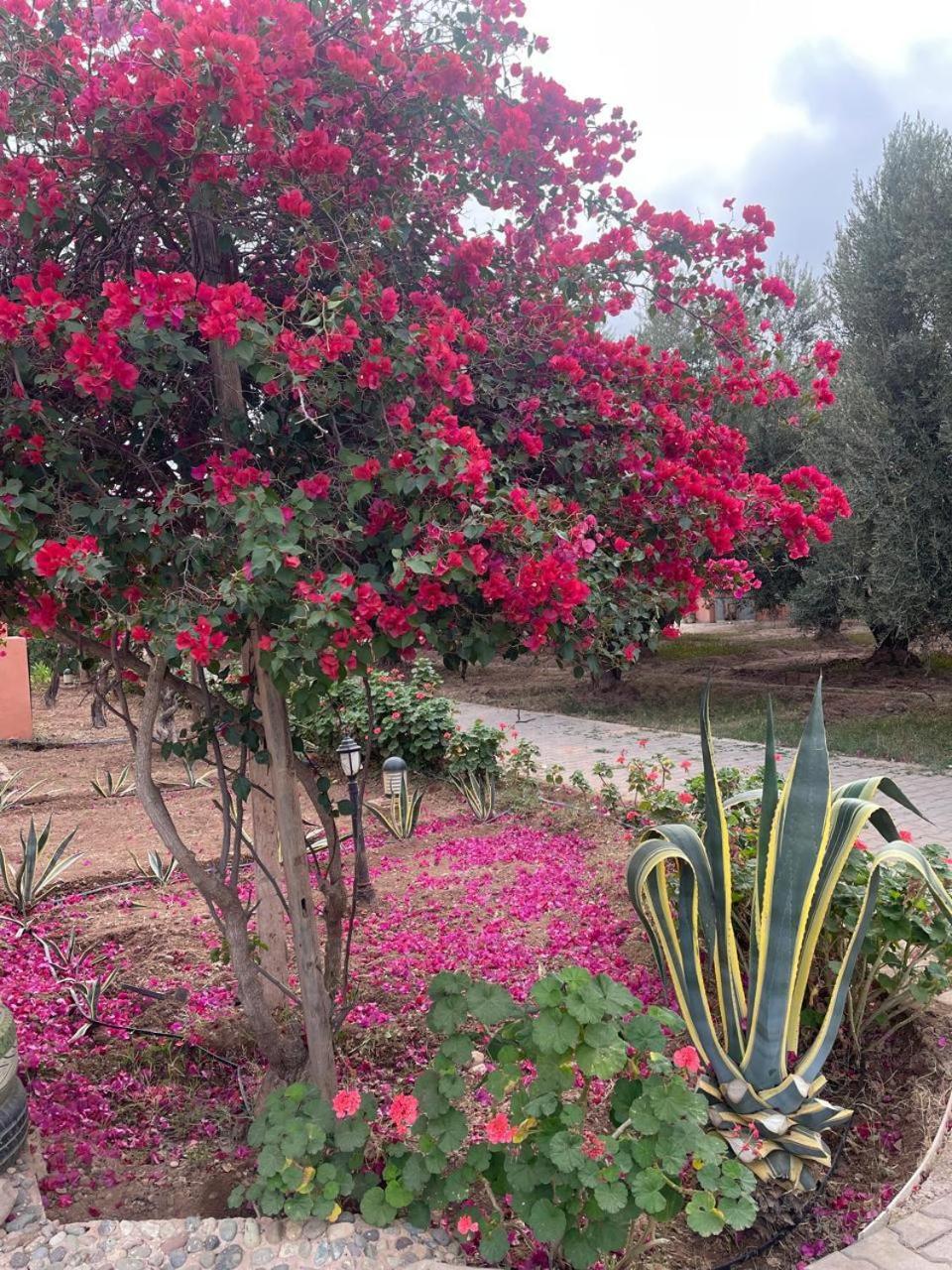 Riad Oussari Marraquexe Exterior foto